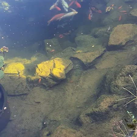 Casa Ruby Πανσιόν