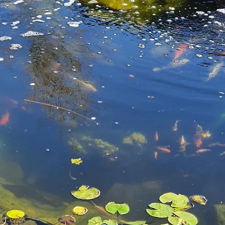 Πανσιόν Casa Ruby 4*