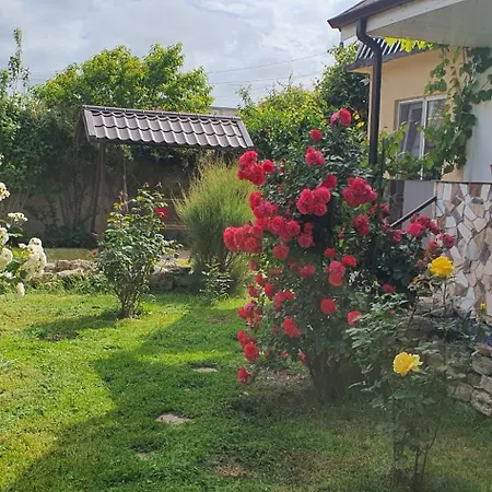 Casa Ruby מנגליה