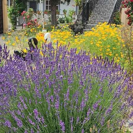 Casa Ruby Πανσιόν 4*