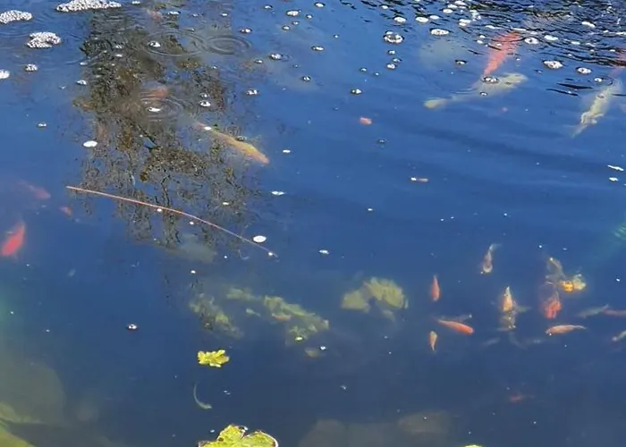 ゲストハウス Casa Ruby 4*