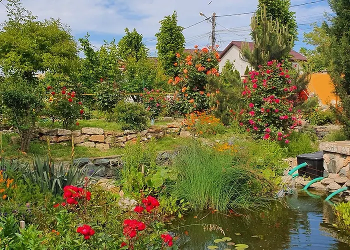 Casa Ruby ゲストハウス マンガリア