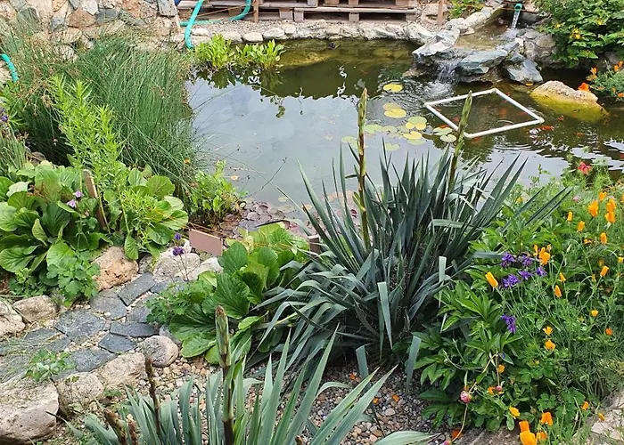 Casa Ruby ゲストハウス