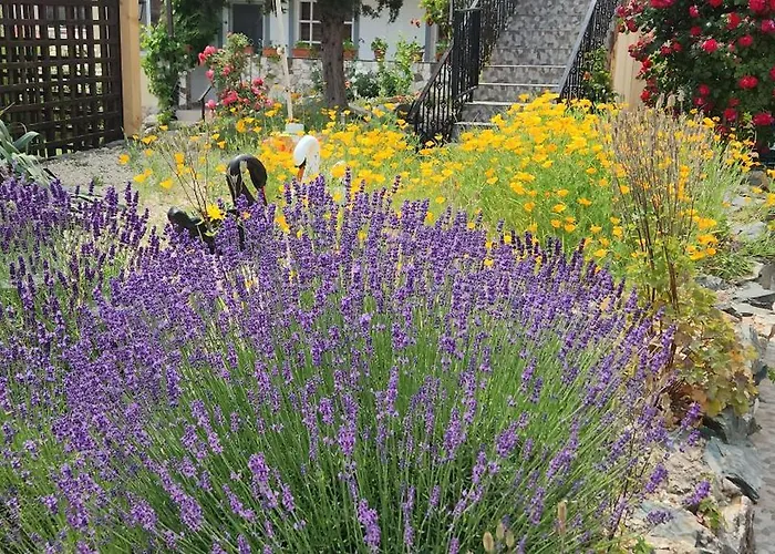 Casa Ruby ゲストハウス 4*