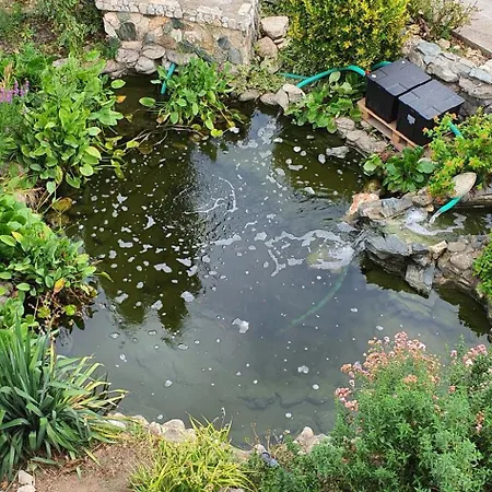 Casa Ruby 4* Mangalia