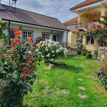 Casa Ruby * Mangalia