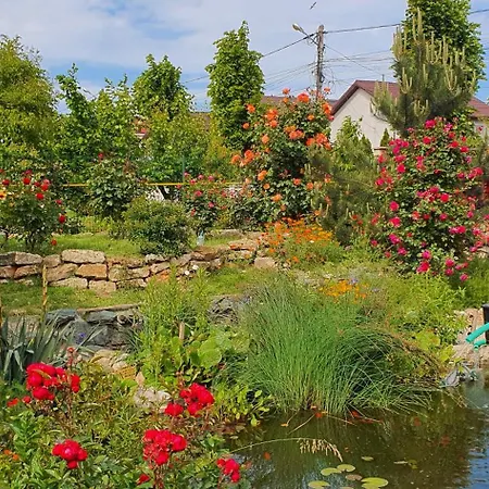 Casa Ruby Guest house Mangalia