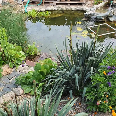 Casa Ruby Vendégház