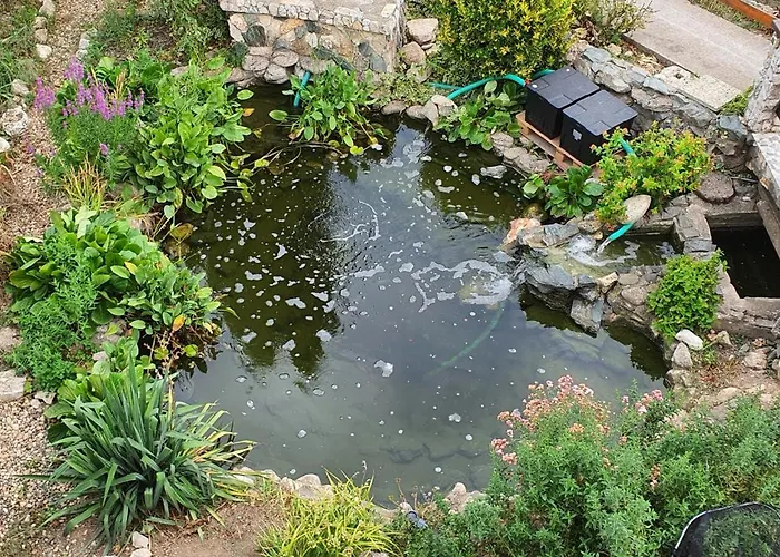 Casa Ruby 4* Mangalia