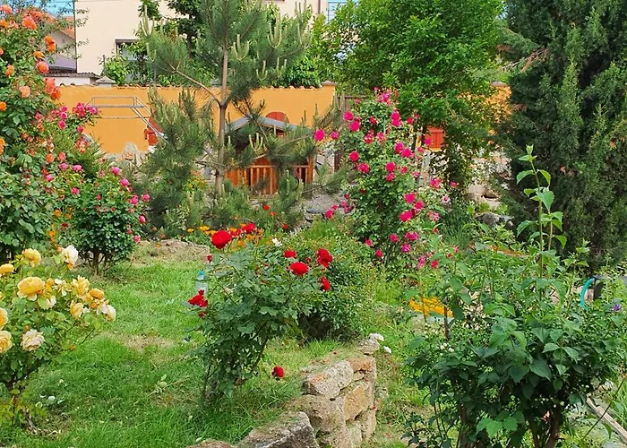 Casa Ruby Pensión Mangalia